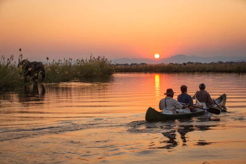 Three people in a canoe on a river, paddling away from an elephant on the bank during a golden sunset.