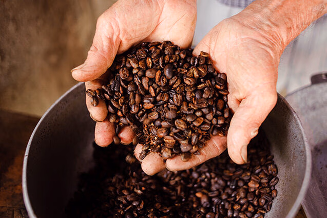Close-up of hands cupping a large handful of freshly roasted brown coffee beans over a metal bowl, showcasing a product of Luxury Colombia Tours.