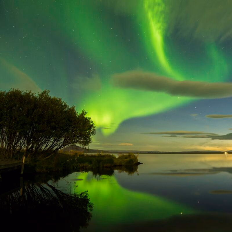 The bright green Northern Lights reflect in a calm lake next to a dark shoreline and tree, capturing luxury Iceland holidays.