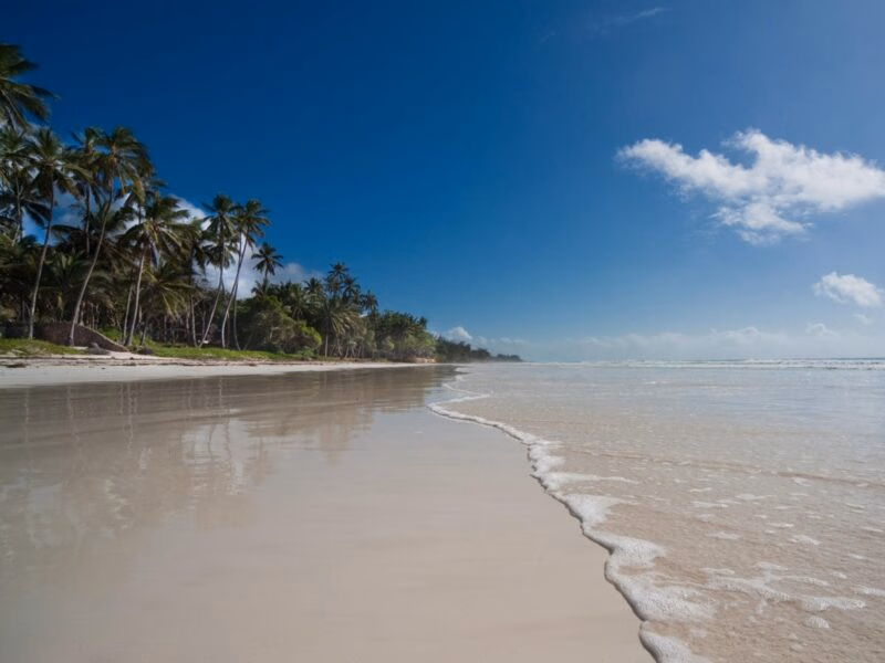 Luxury Kenya Safari Tours - A wide, white sand beach meets the ocean with palm trees lining the shore under a bright blue sky.