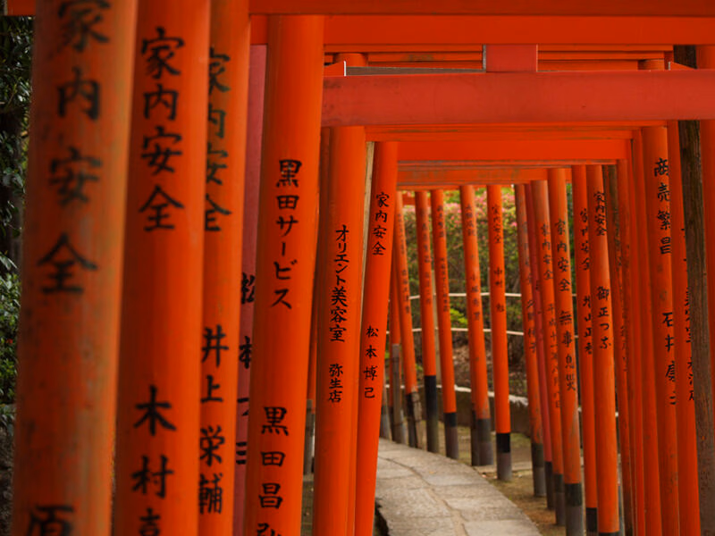 Private Japan Luxury Tours - red tori gates form a long tunnel
