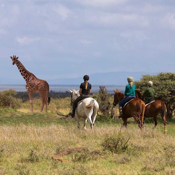 Three people on horseback view a tall giraffe in the open grasslands during a luxury Kenya family safari.