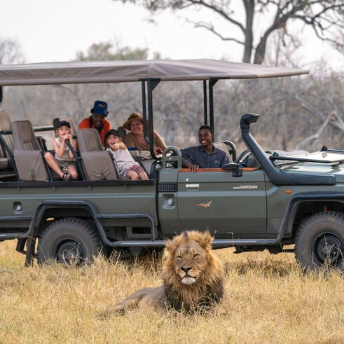 A male lion sitting in the grass in front of a safari vehicle filled with people.