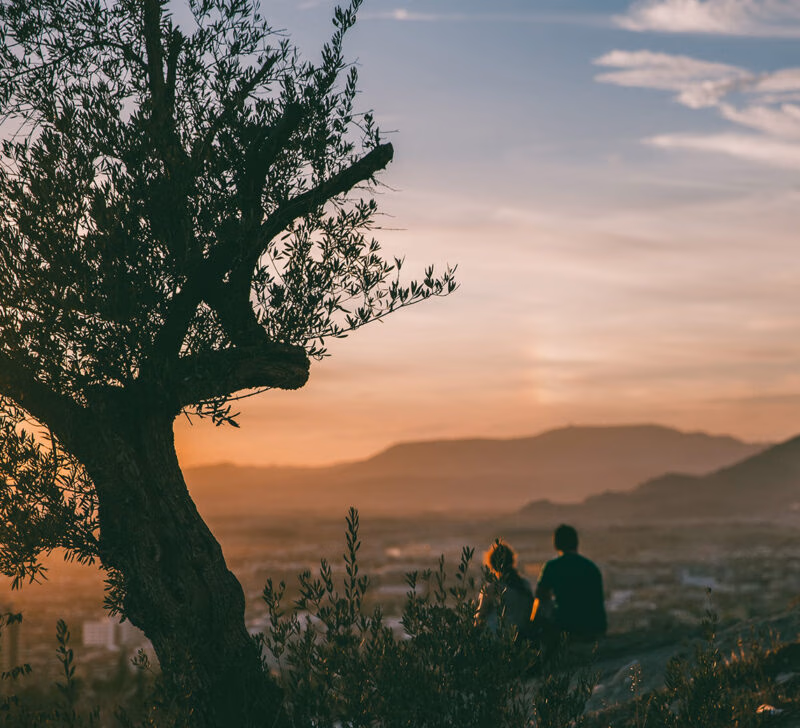 Silhouetted olive tree in the foreground as a couple watches the sunset over mountains, for luxury Spain holidays.
