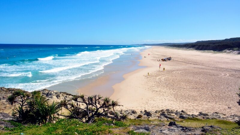 A scenic coastal view of a vast sandy beach meeting blue ocean waves under a clear blue sky.