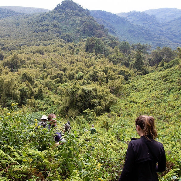 Rear view of a woman in a black jacket looking out over a group of hikers in a lush, green mountain valley.