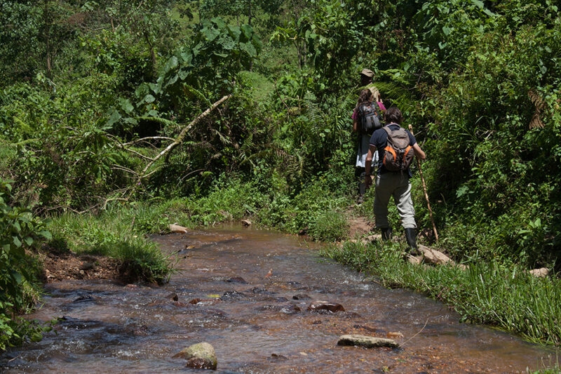 Hikers with backpacks walk on a dirt path beside a small stream surrounded by green trees.