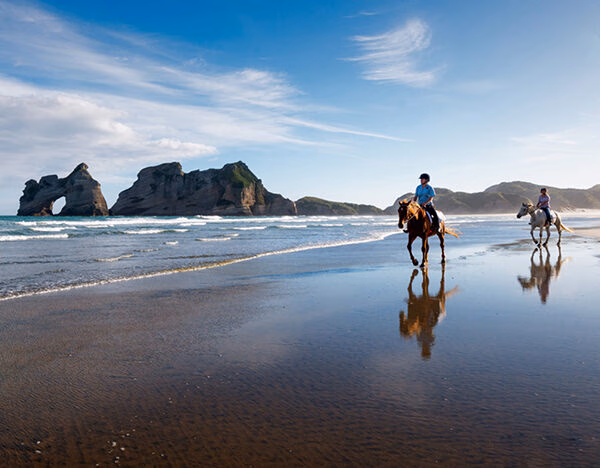 People horse riding on a reflective beach near Wharariki Beach during luxury New Zealand tours.