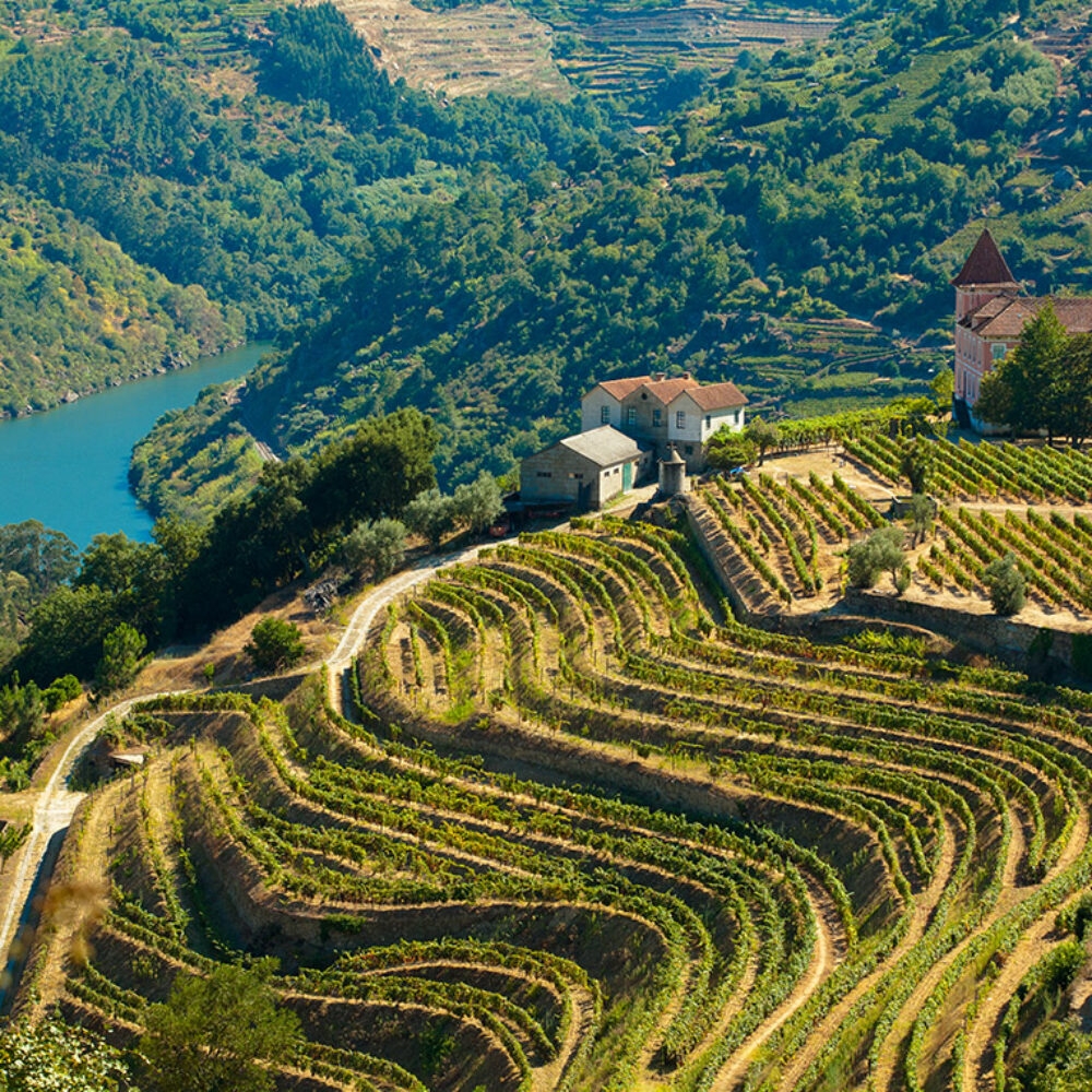 Steep, terraced vineyards and hillsides overlooking a blue river in the Douro Valley, perfect for luxury Portugal vacations.