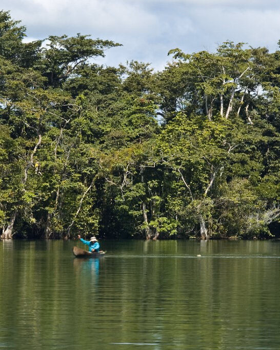 A person in a blue jacket paddles a small canoe on a placid green river, flanked by thick, towering jungle trees.