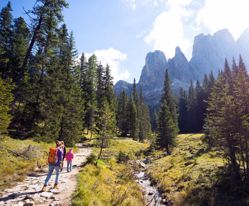 Hikers walking on a forest trail with tall pine trees and jagged mountain peaks under a clear sky.