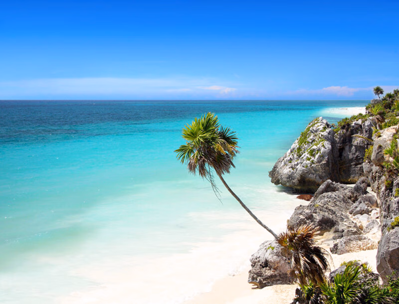 White sand beach with turquoise water, rocky cliffs, and a leaning palm tree in Tulum, great for luxury Mexico vacations.