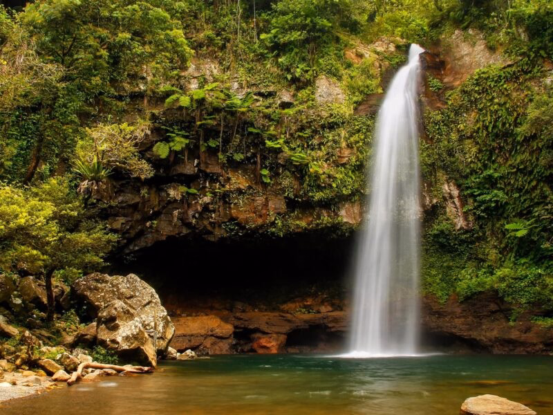 A waterfall flowing into a dark pool surrounded by dense tropical ferns on luxury South Pacific trips.