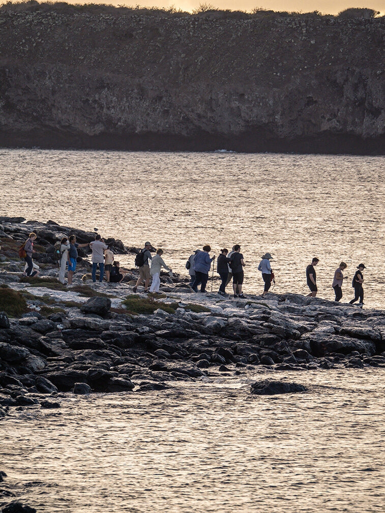 A group of tourists walking along a rocky coast during luxury Galapagos family trips.