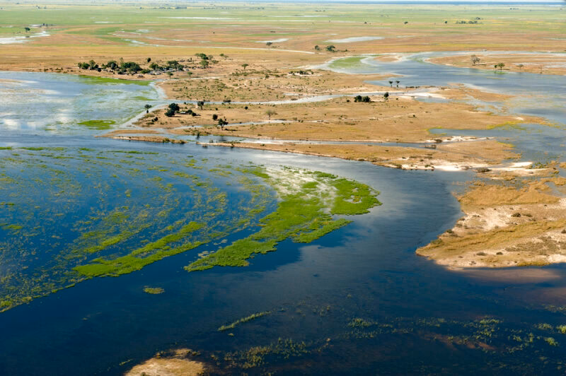 High angle view of a river delta with winding blue water channels and green marshland.