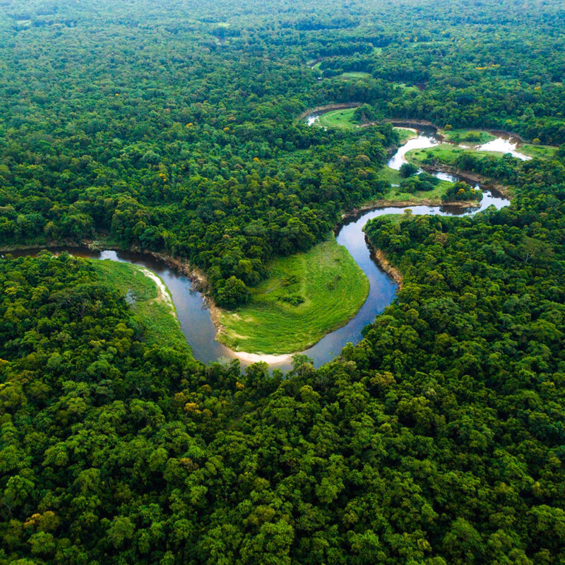 Aerial view of a winding river surrounded by the dense, vibrant green foliage of the Amazon rainforest. luxury Brazil vacations.