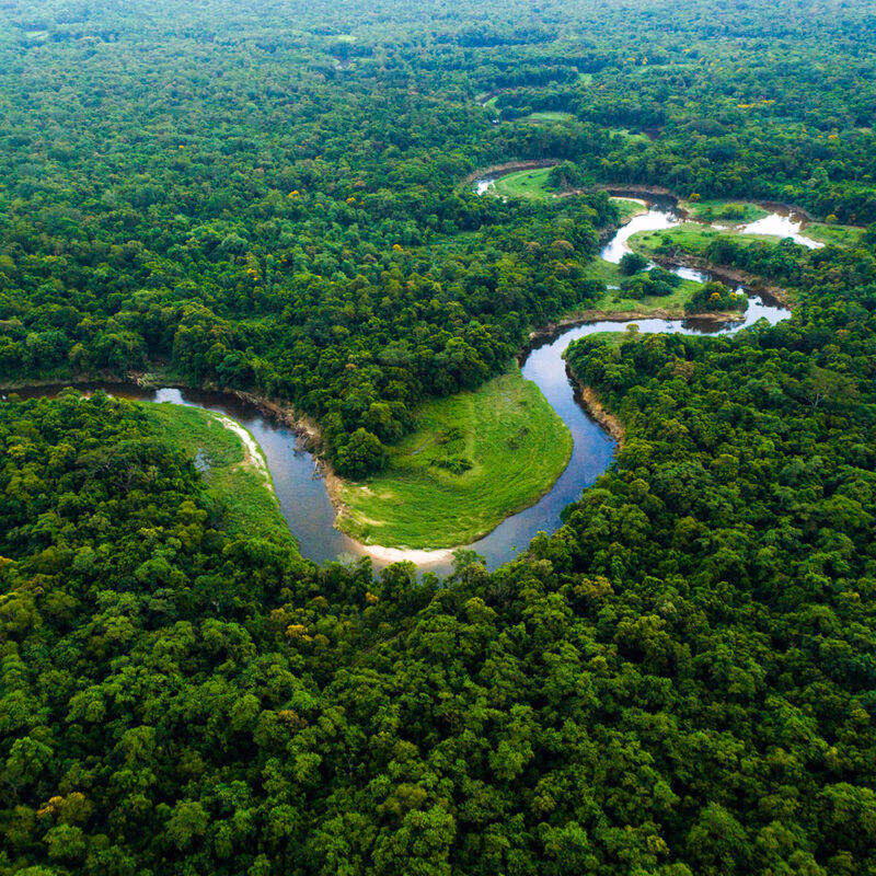 Aerial view of a winding river surrounded by the dense, vibrant green foliage of the Amazon rainforest. luxury Brazil vacations.