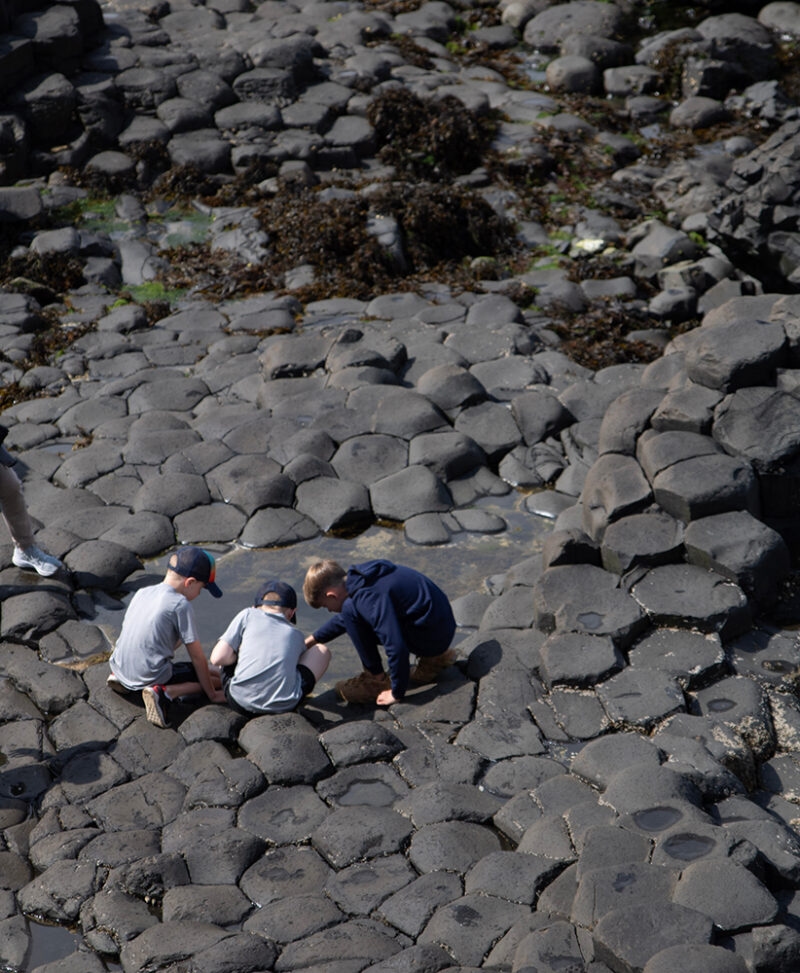 Three children crouch on interlocking hexagonal basalt rocks to examine a small pool of water.