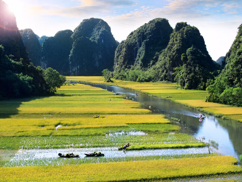 Luxury Vietnam Tours - Green rice fields in Ninh Binh, Vietnam