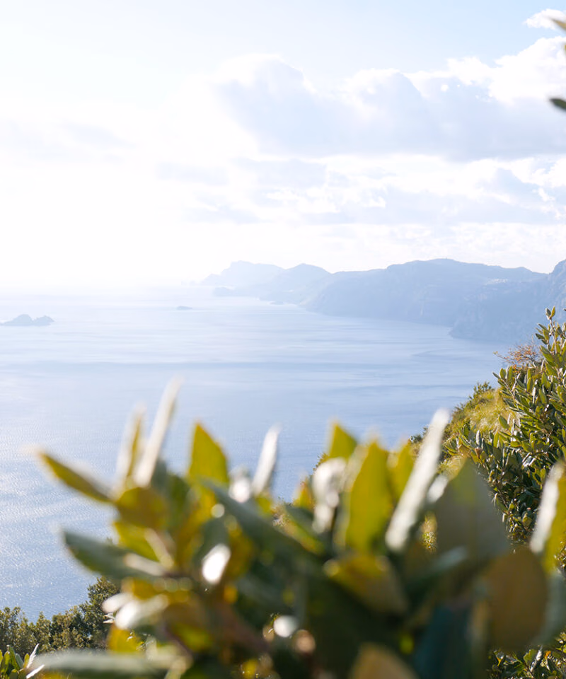 Hazy ocean view through green leaves during luxury Amalfi Coast tours.