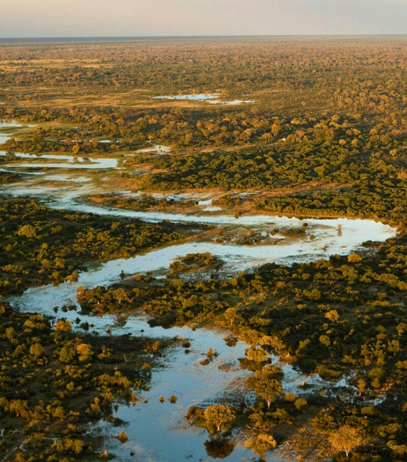 Aerial view of Selinda Adventure Trail, a winding river flowing through tree covered landscape in Botswana, Africa.