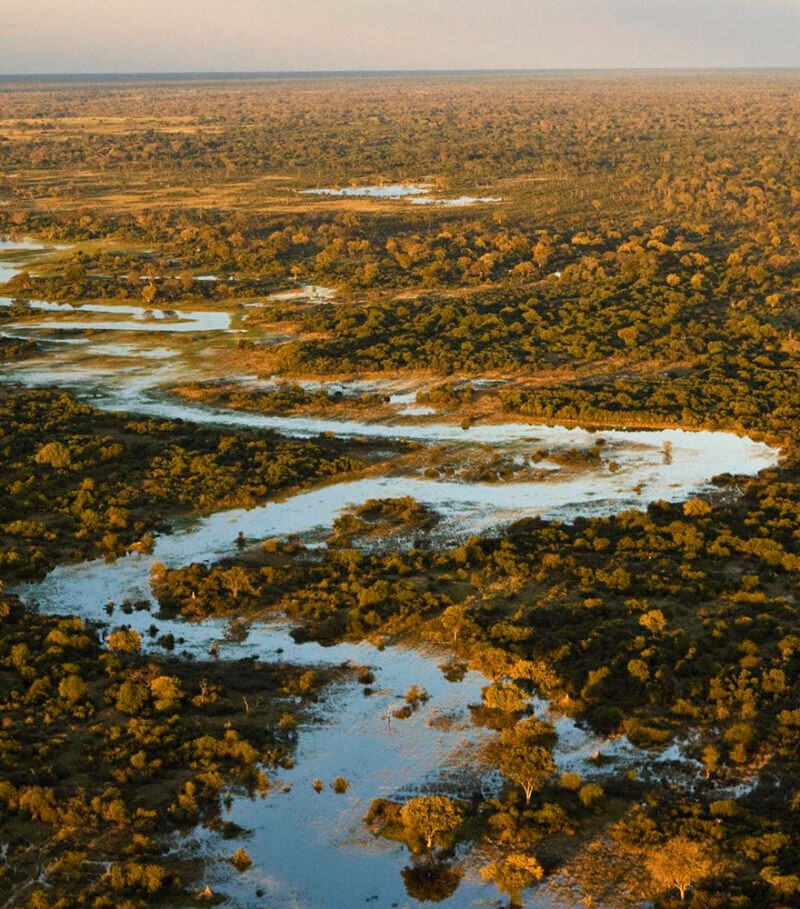 Aerial view of a winding river at golden hour on luxury Okavango Delta safaris.
