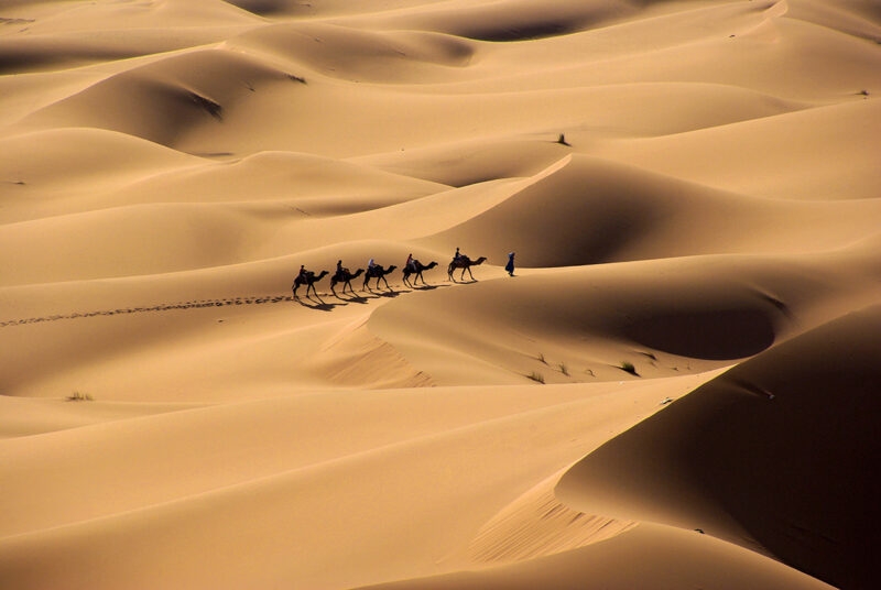 A line of people riding camels across golden desert sand dunes on luxury Africa honeymoon holidays.