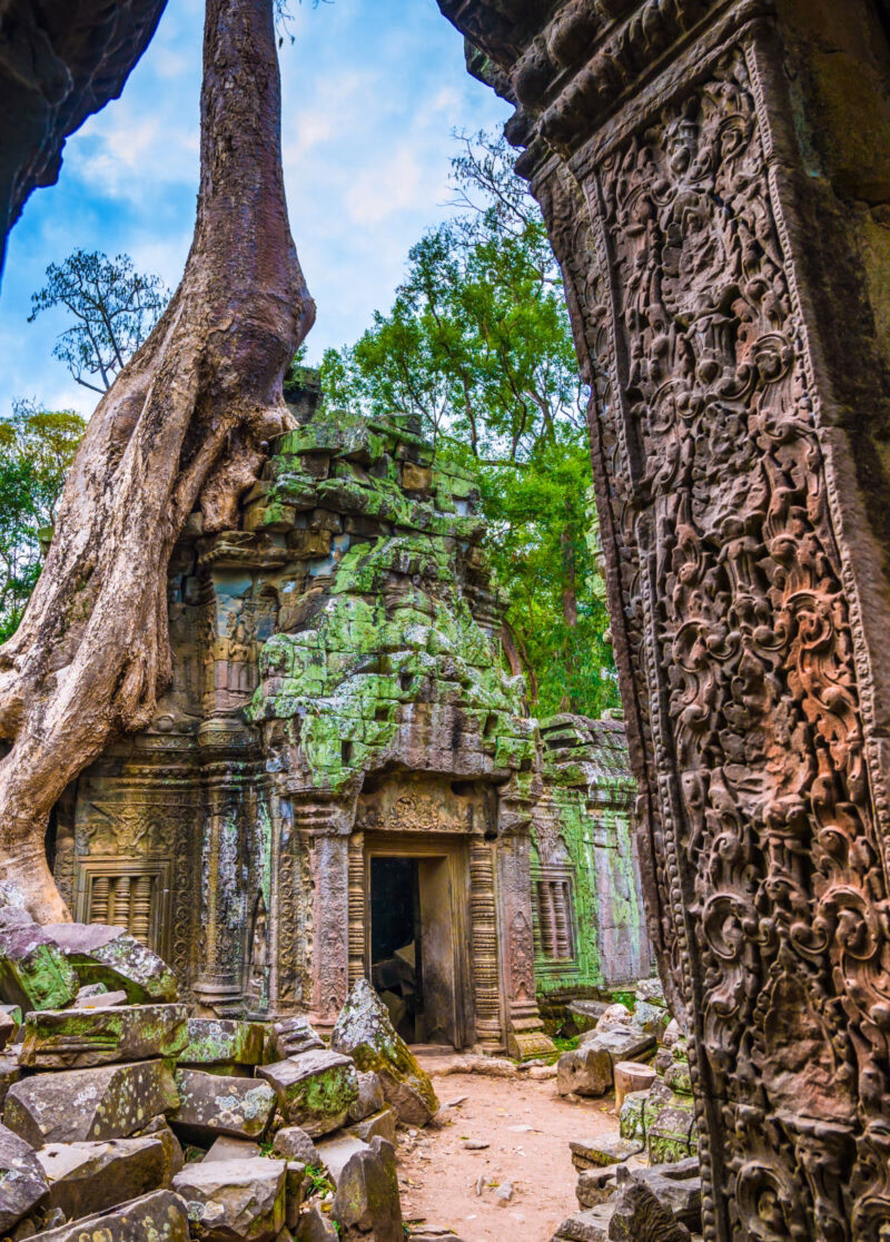 Large tree root growing over the mossy, crumbling stone walls of an ancient temple ruin, with an ornate, carved stone doorway.