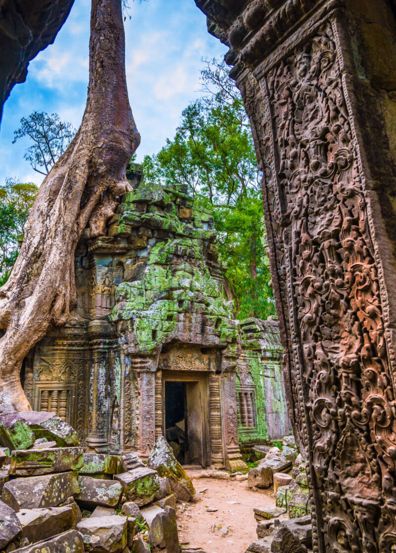 Large tree root growing over the mossy, crumbling stone walls of an ancient temple ruin, with an ornate, carved stone doorway.