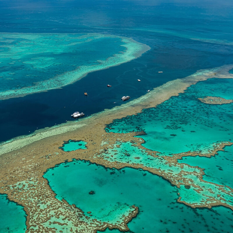 Aerial view of vibrant coral reef systems and boats in clear water for luxury grand tours and safaris.
