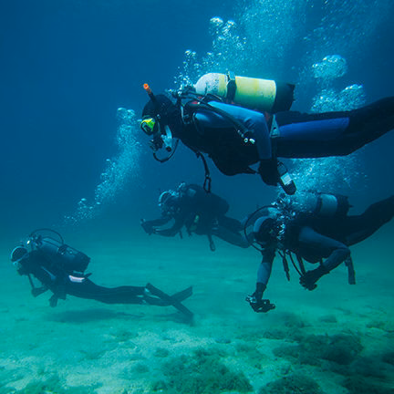 A group of four people scuba diving along the bottom of a sandy reef