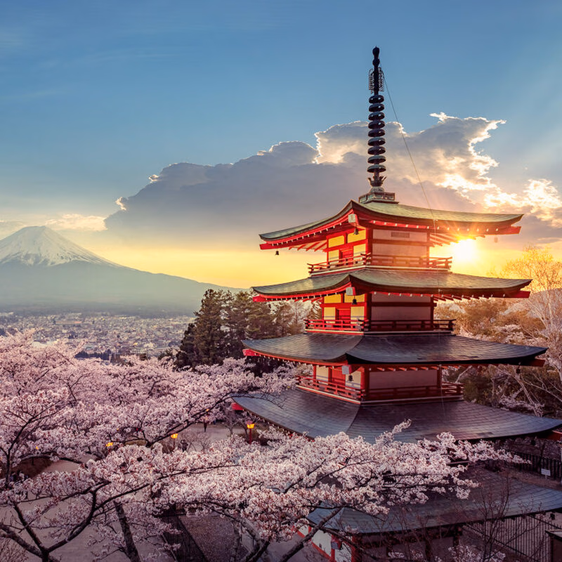A red five-story pagoda surrounded by cherry blossoms with Mount Fuji for luxury culture tours.