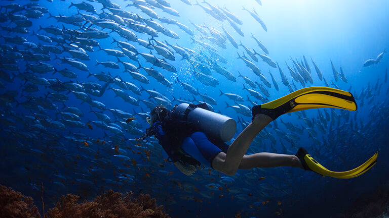 Scuba diver with yellow fins swimming through a school of fish during luxury adventure holidays.