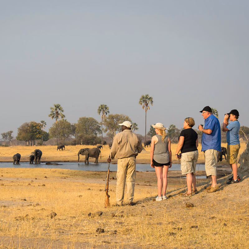 A guide with a rifle and four tourists watching elephants by a pool of water during luxury African family safari vacations.
