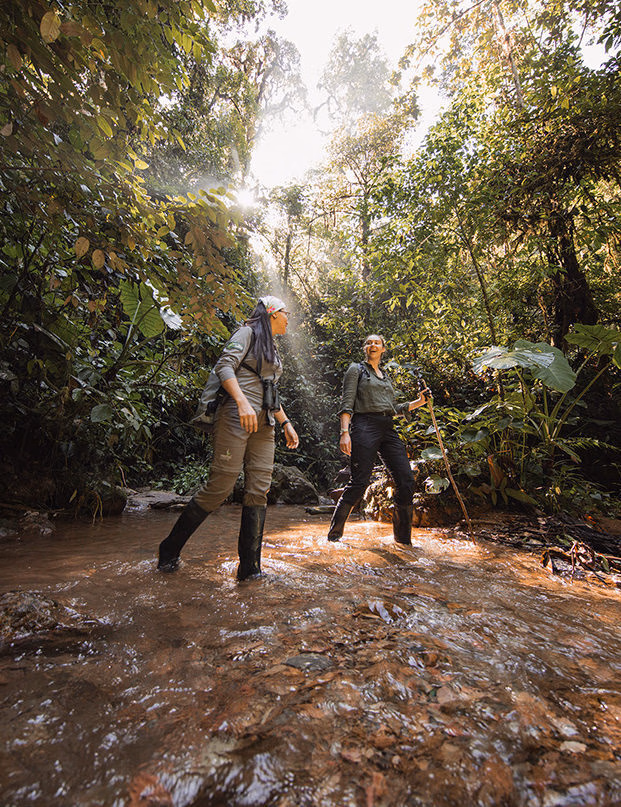 Two people hiking through a stream in a lush forest on positive impact trips.
