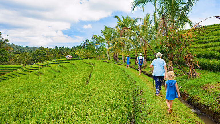 People walking on a path through lush green rice terraces under a blue sky on luxury Family vacations.