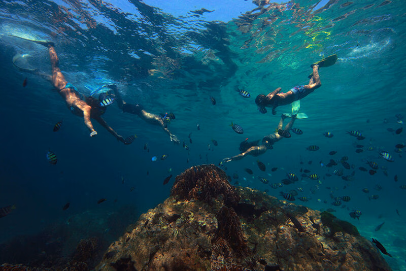 Snorkelers swimming underwater with many small fish near a coral reef during luxury Family vacations.