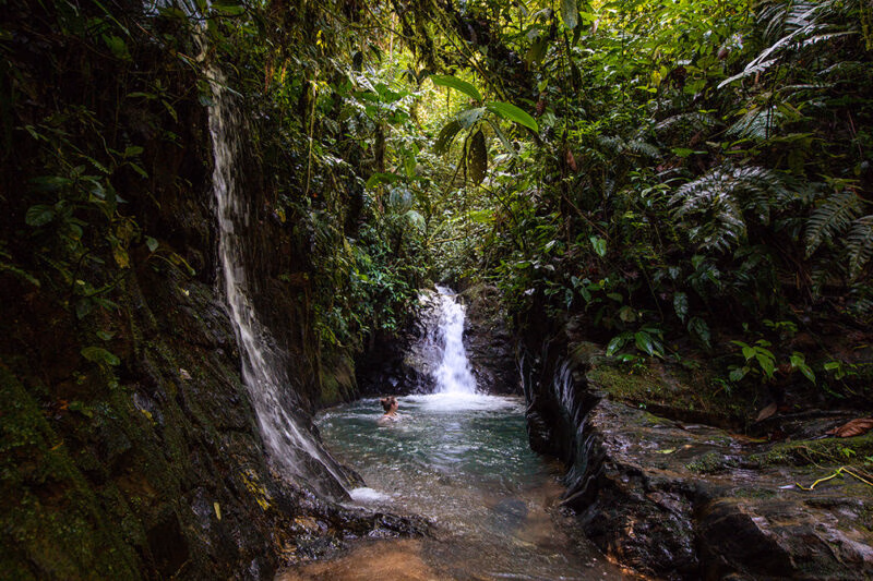 waterfall in the jungle taken on a luxury latin America trip