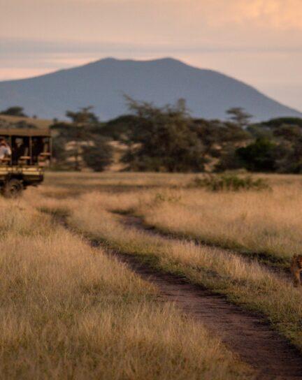 Our Guide to Big Five Safaris in Africa