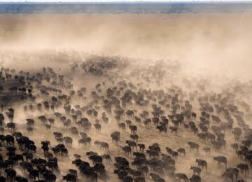 Mababe Concession thumbnail