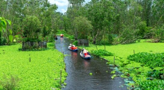 Cruise the Mekong Delta by river preview image