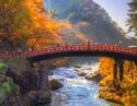 The vibrant red wooden Shinkyo Bridge spans a rushing river surrounded by dense green forest foliage.