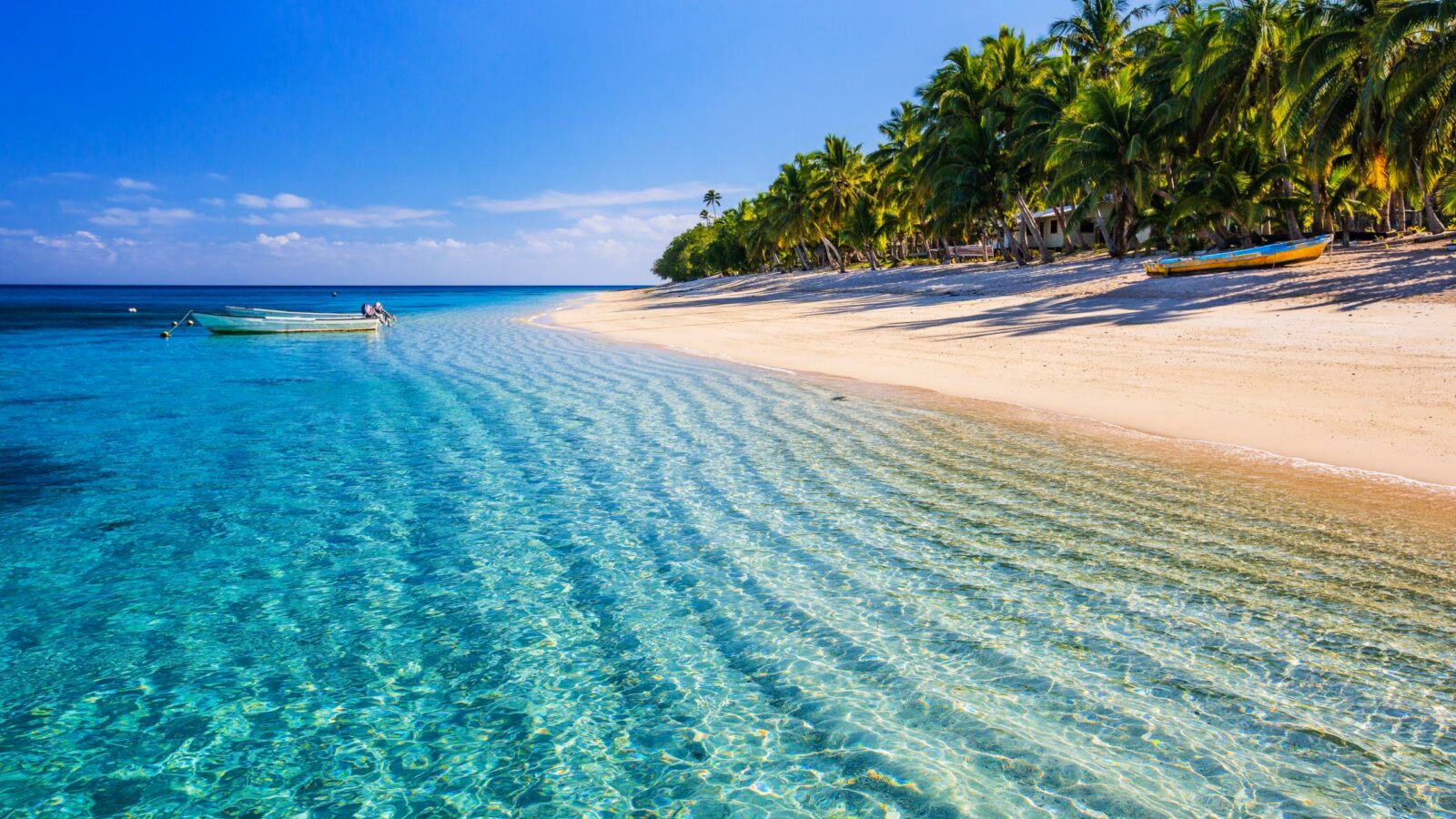 Tropical beach with clear turquoise water, white sand, and lush palm trees under a blue sky for luxury Fiji vacations.