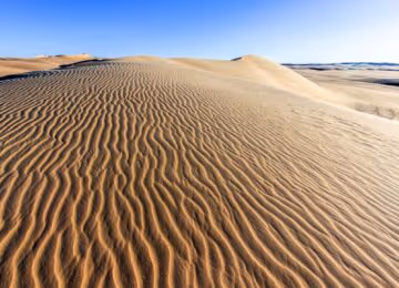 Sahara thumbnail