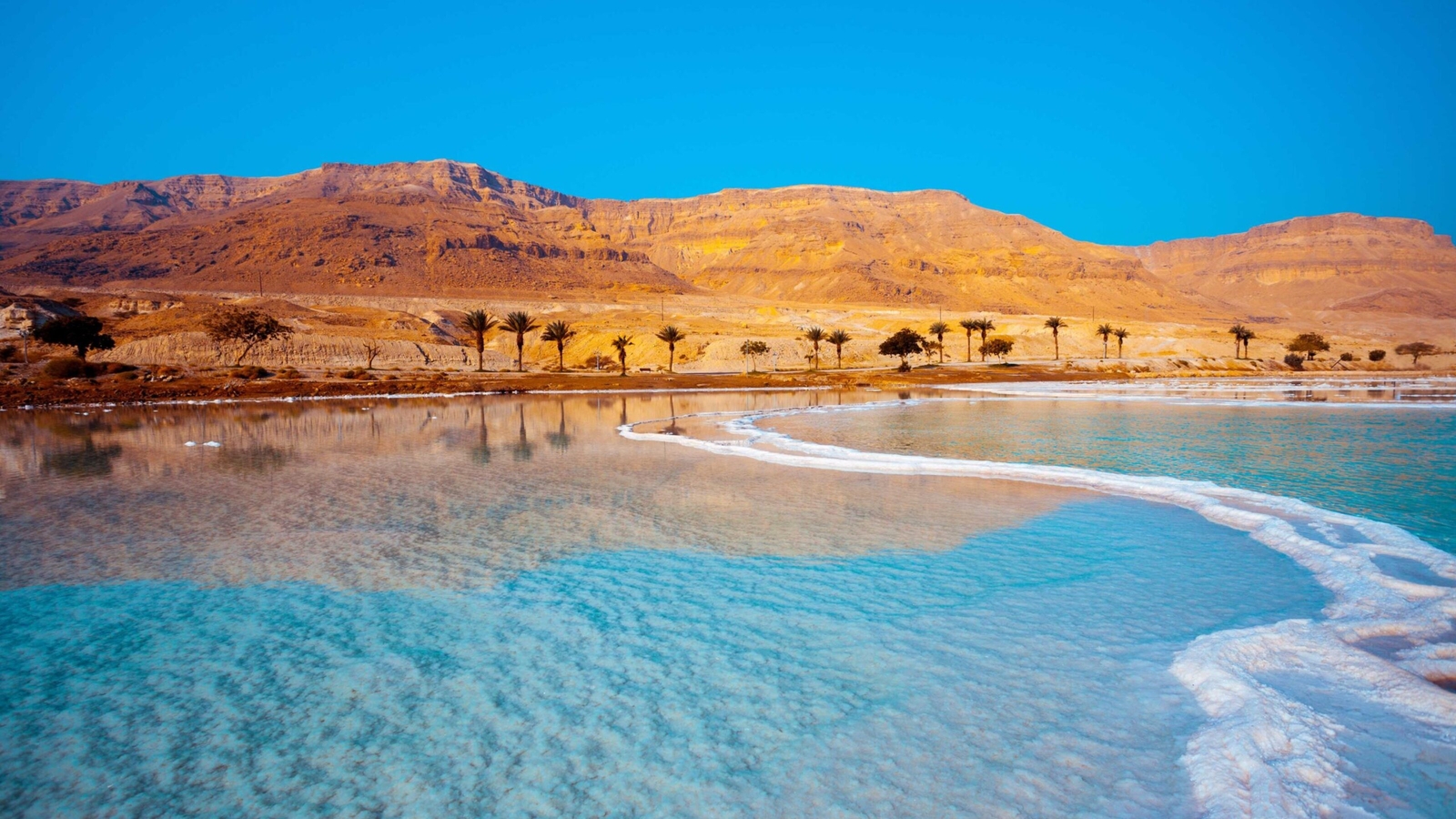 Landscape of the Dead Sea with crystalline salt formations in the foreground, clear blue water, palm trees, and tan mountains.