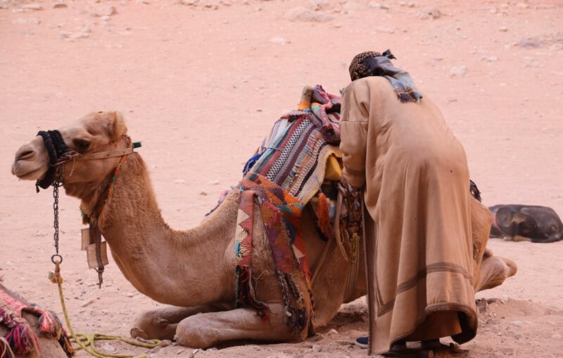 A man in traditional clothing adjusts the brightly patterned saddle on a resting camel in a sandy, desert setting. Luxury Middle East vacations.
