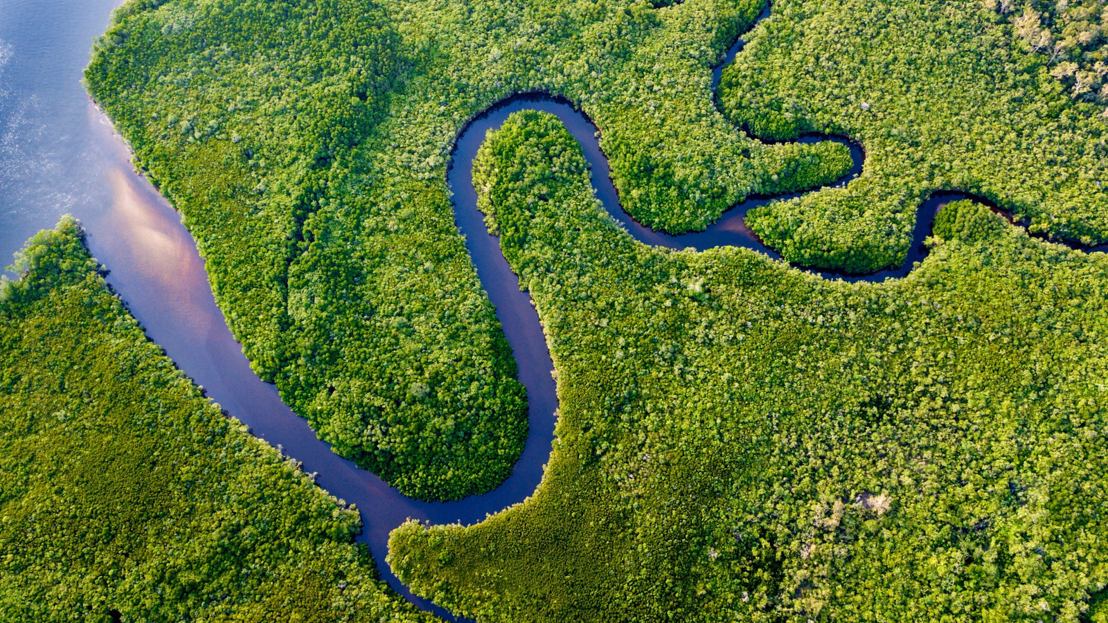 Aerial view of The Daintree Rainforest, Australia