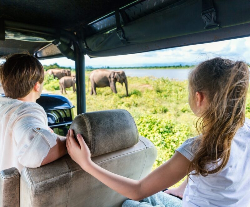 Family of father and daughter watching elephants at Udawalawe National Park in Sri Lanka