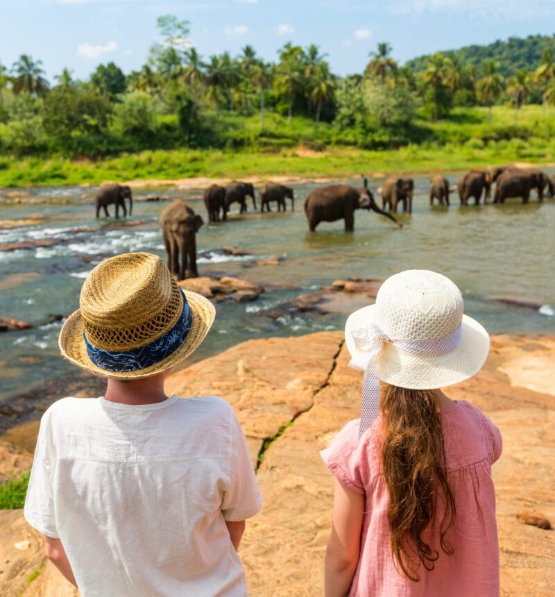 Kids watching Sri Lankan elephants at riverbed drinking water