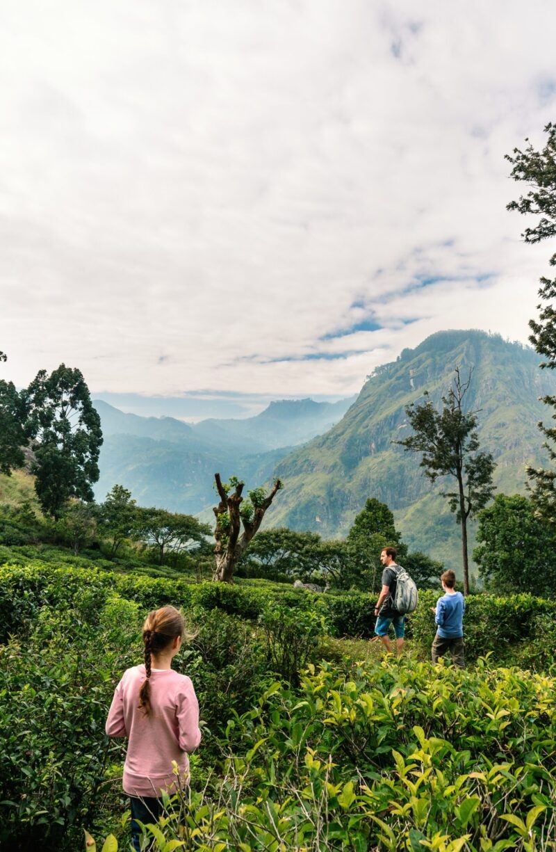 Family of father and two kids enjoying breathtaking views over mountains and tea plantations in Ella Sri Lanka